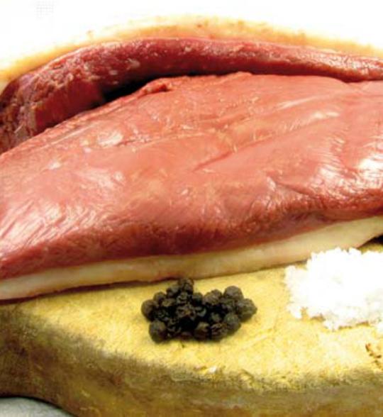 FILET DE CANARD