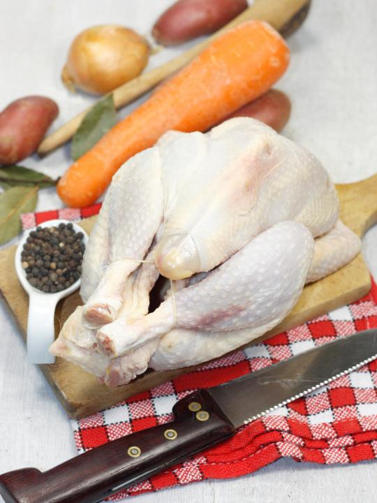 Poule
