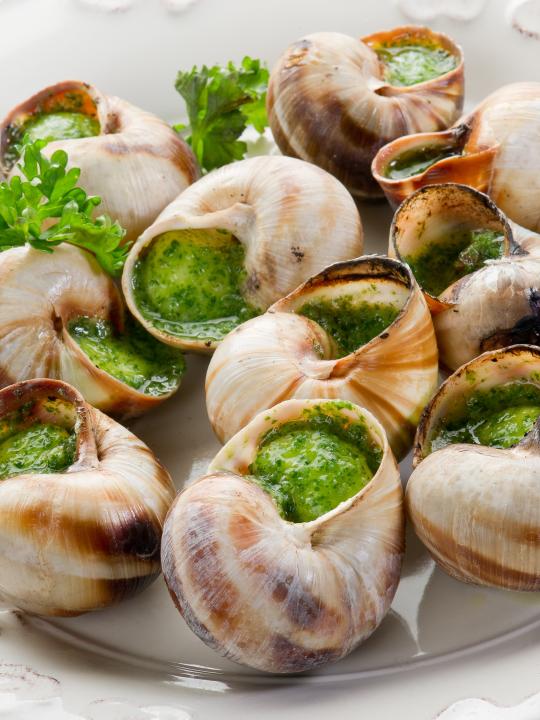 Escargot de Bourgogne "belle grosseur"