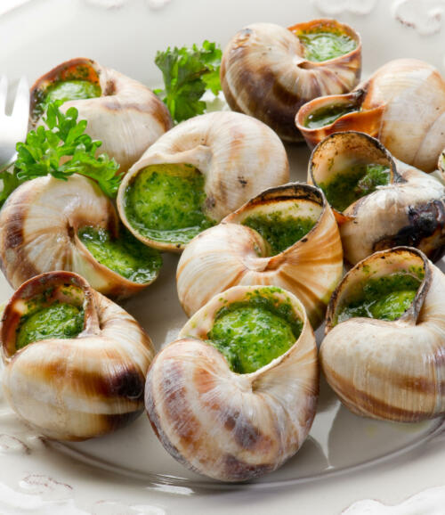 Escargot de Bourgogne "belle grosseur"