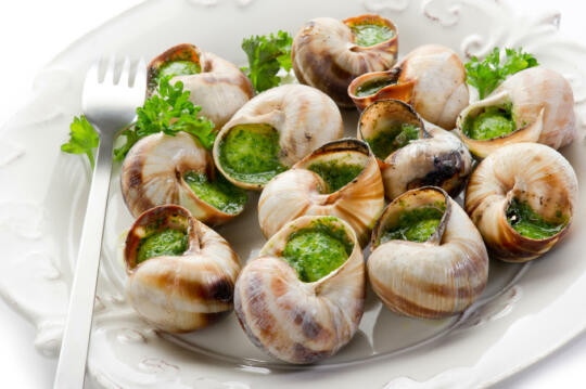 Escargot de Bourgogne "belle grosseur"